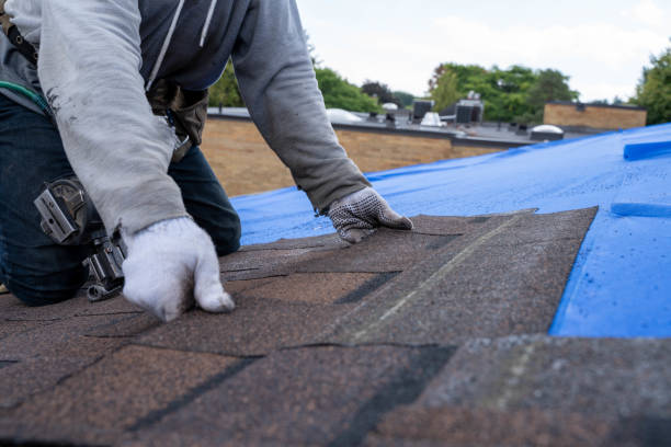 Best Storm Damage Roof Repair  in Pierson, FL