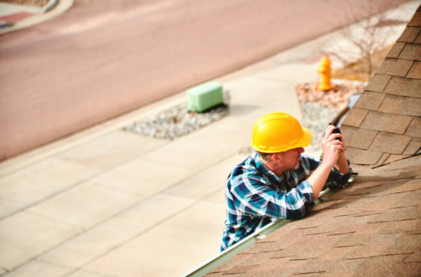 Best Roof Gutter Cleaning  in Pierson, FL