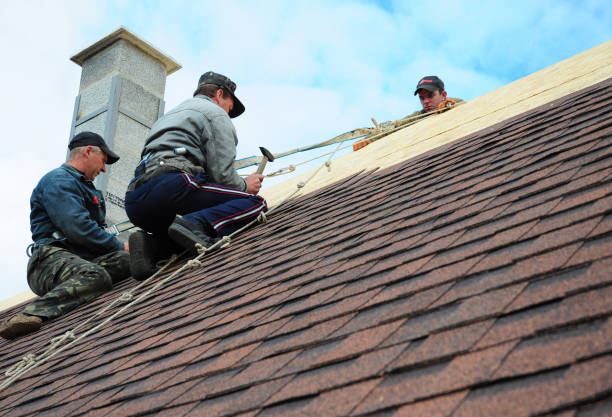 Professional Roofing Contractor in Pierson, FL